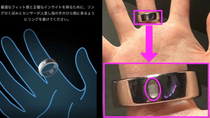 Oura Ring　正しい装着位置